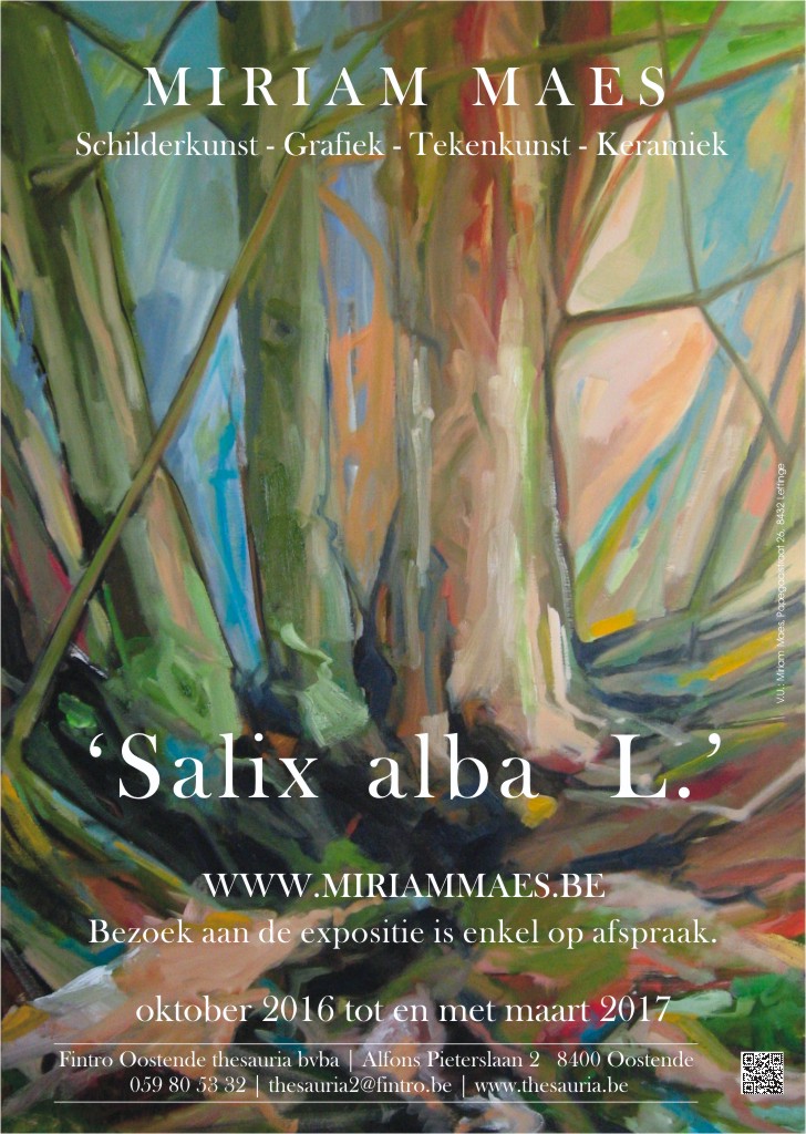 Exposition 
Miriam Maes | Salix alba L. | 10/2016 - 03/2017